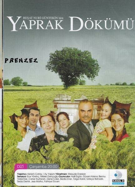 Листопад poster