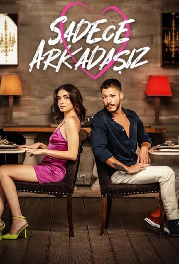 Просто друзья poster