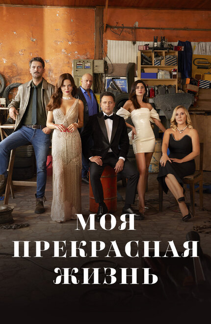 Моя прекрасная жизнь poster