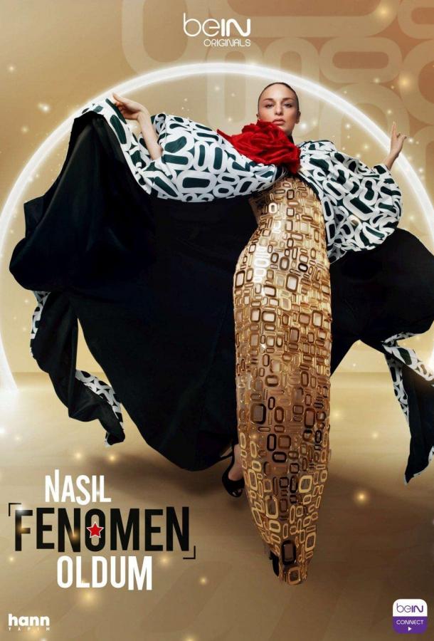 Как я стала феноменом poster