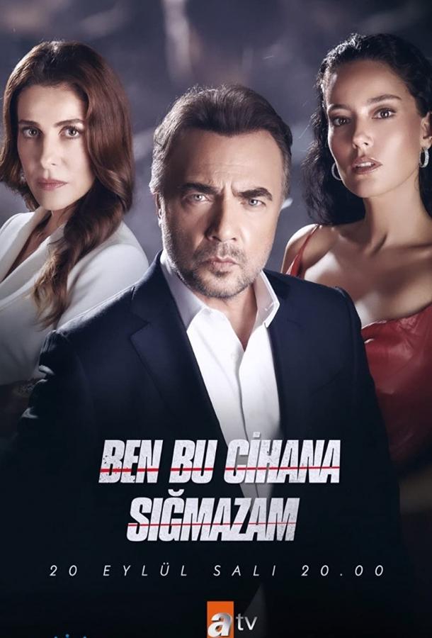 Я не могу вписаться в этот мир poster