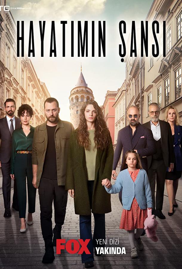 Шанс моей жизни poster