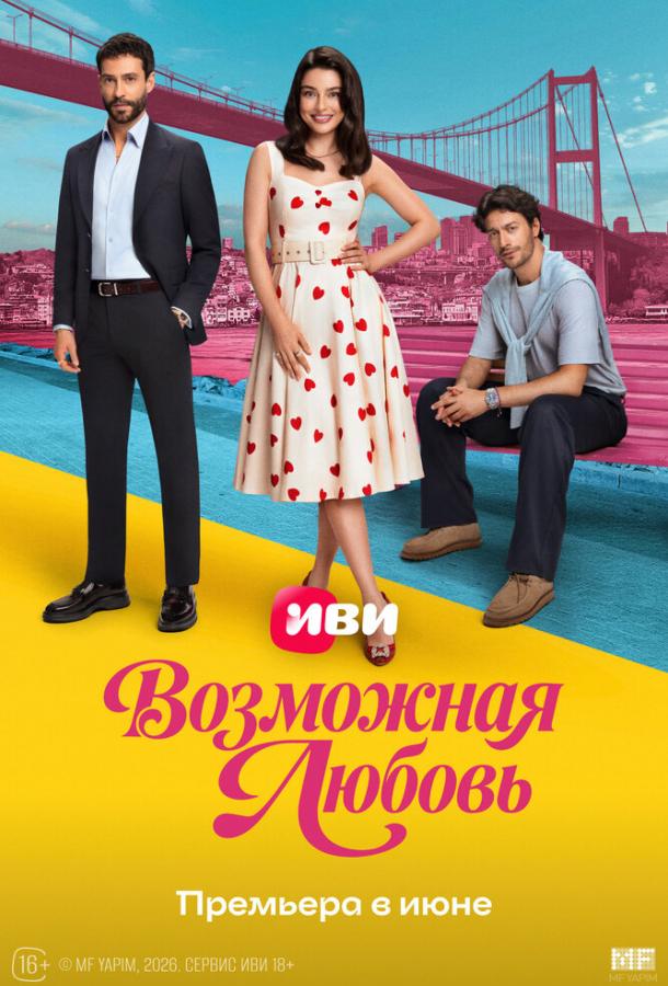 Возможная любовь poster